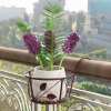 🎁TikTok Last Day Sale - 70% OFF🔥 Hanging Flower Stand🌼