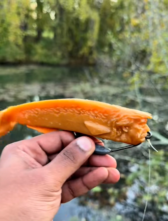 🔥Last Week Only! 49% OFF🔥The Most Tempting Fishing Lure Ever