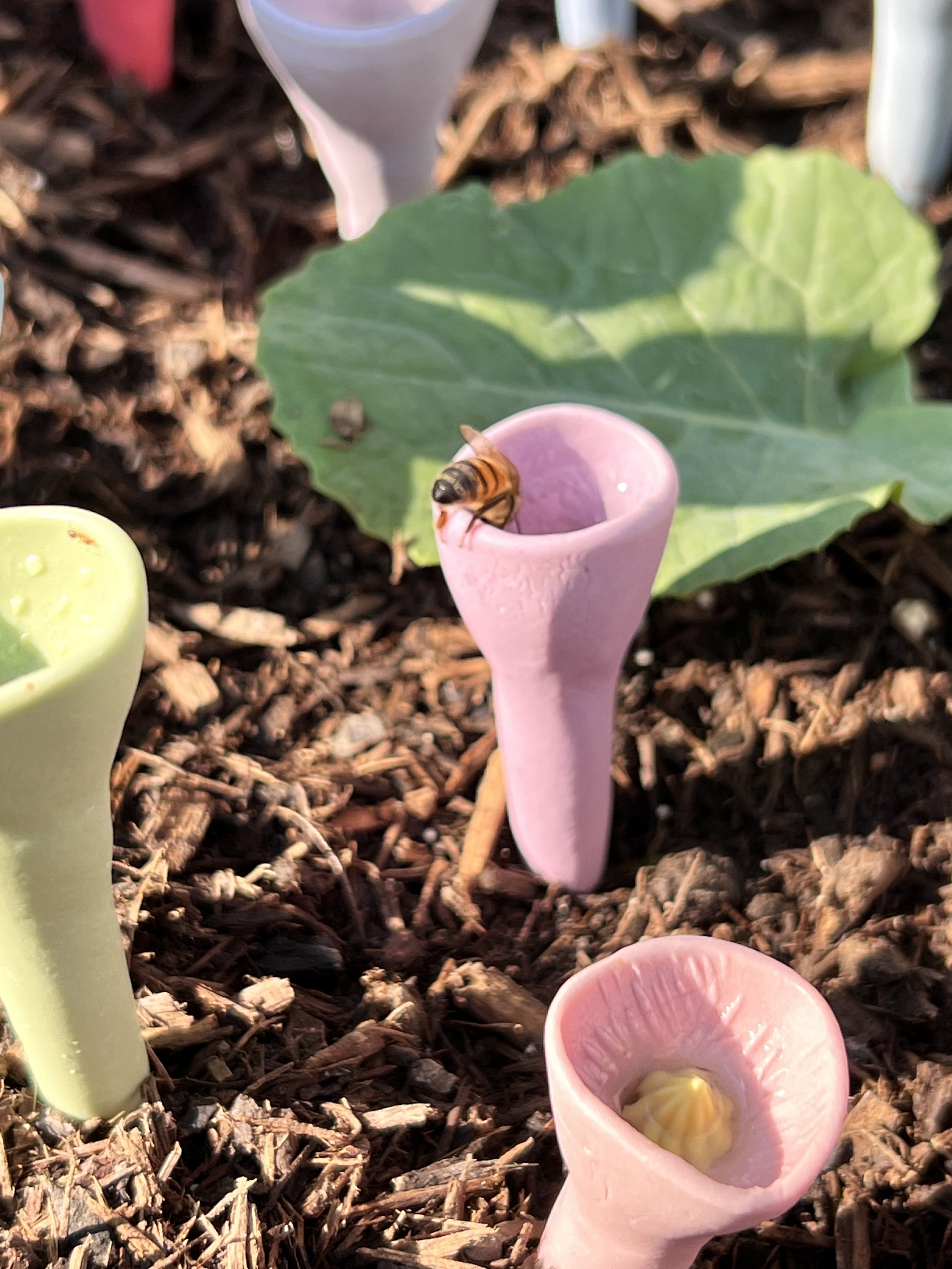 (🔥Last Day Promotion 50% OFF)Bee Insect Drinking Cup 5-pack
