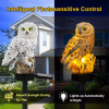 🔥Last Day Promotion 70% OFF🔥Waterproof Solar Powered Owl Lawn Light