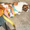 Last Day 49% OFF🔥Quick-Control Dog Leash