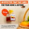 Super Ninja Fruit Fly Trap - Highly Effective Indoor Traps - Up to 3 Weeks per Bottle