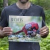 📅Becorns 2025 Calendar: Forest Folk