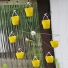 Ferris Wheel Bird Feeder 🐦
