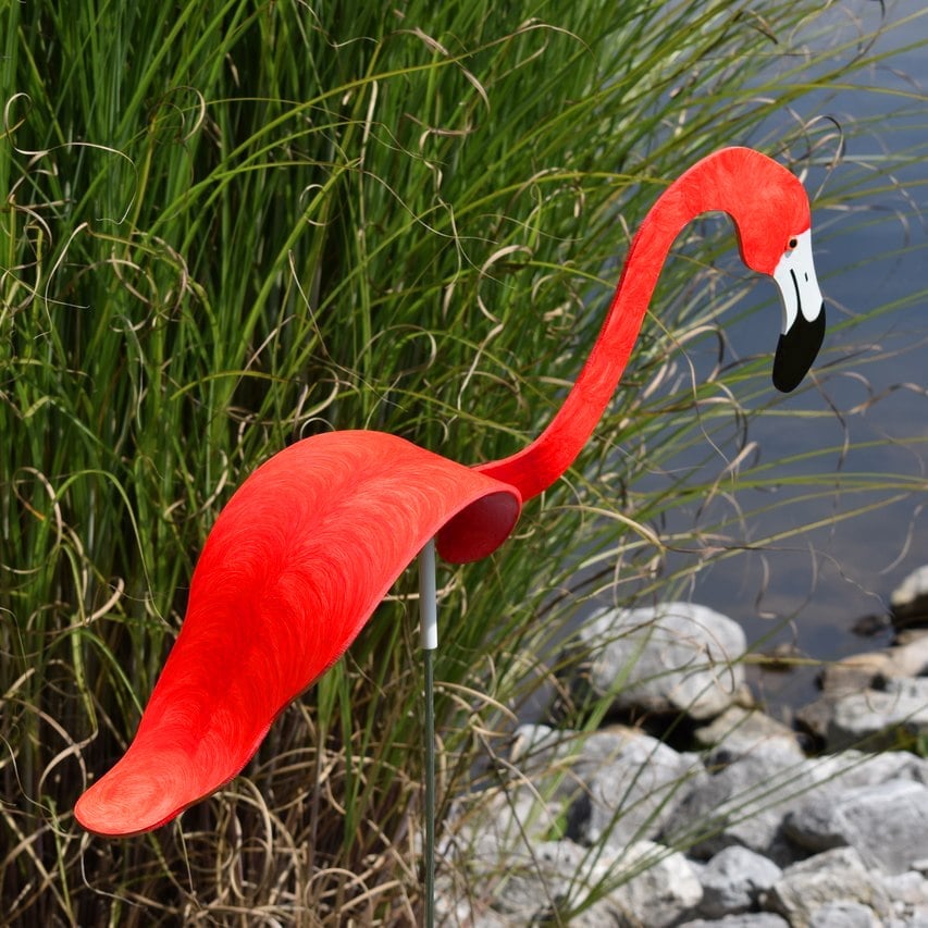 🔥Last Day 70% OFF - 🦩Chicago Garden Dancing Flamingos, Buy 4 Get 1 Free & Free Shipping