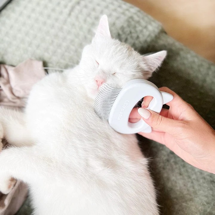 🎁Early Christmas Sale 48% OFF - Cat Hair Removal Massaging Shell Comb（BUY 2 GET 1 FREE）