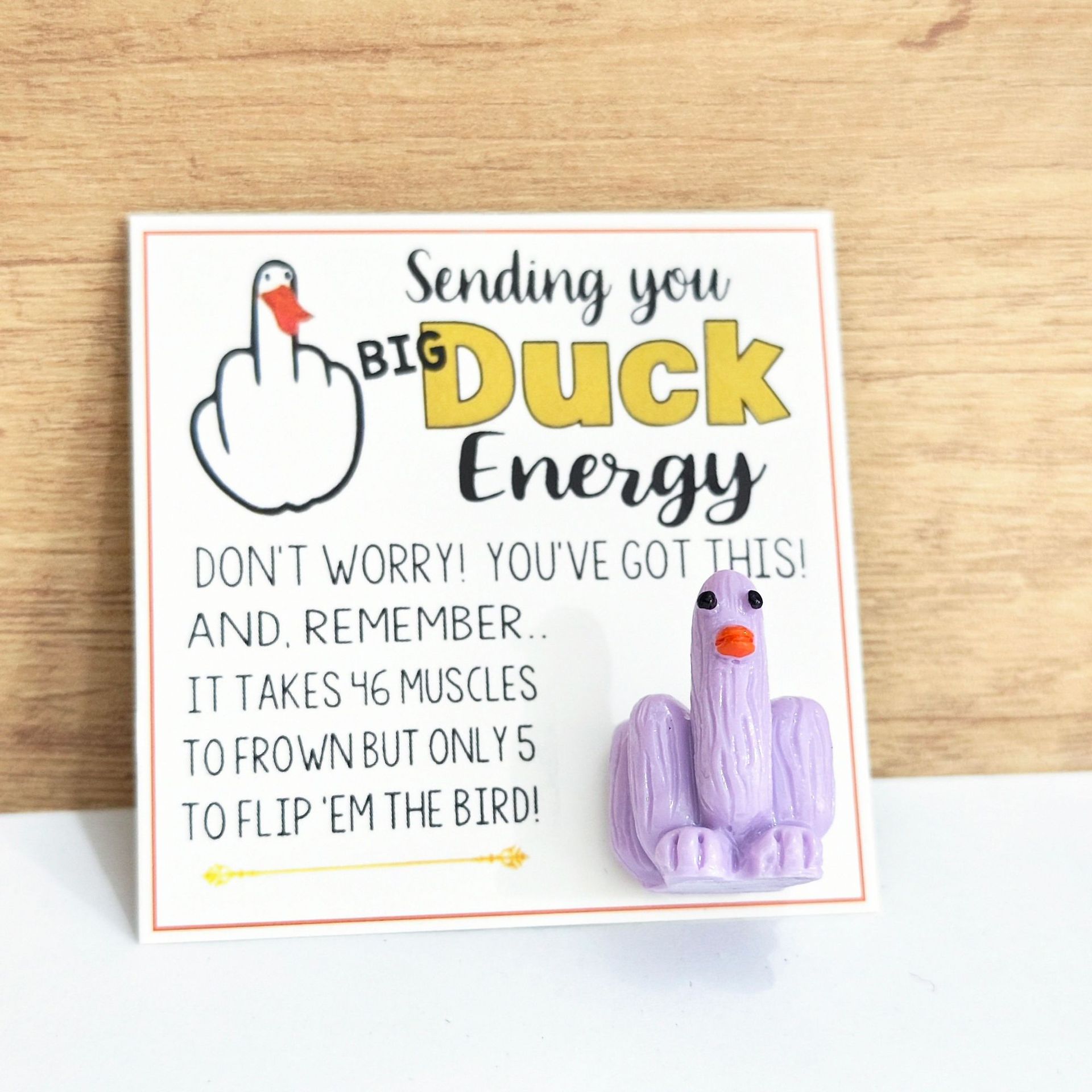 🤣Funny Middle Finger Duck Lucky Charm Gift