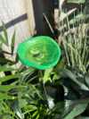 🎖️July 4th Flash Sale: 50% OFF Sitewide! 💕Bee Watering Station,Butterfly Puddler,Insect Drinking Cups