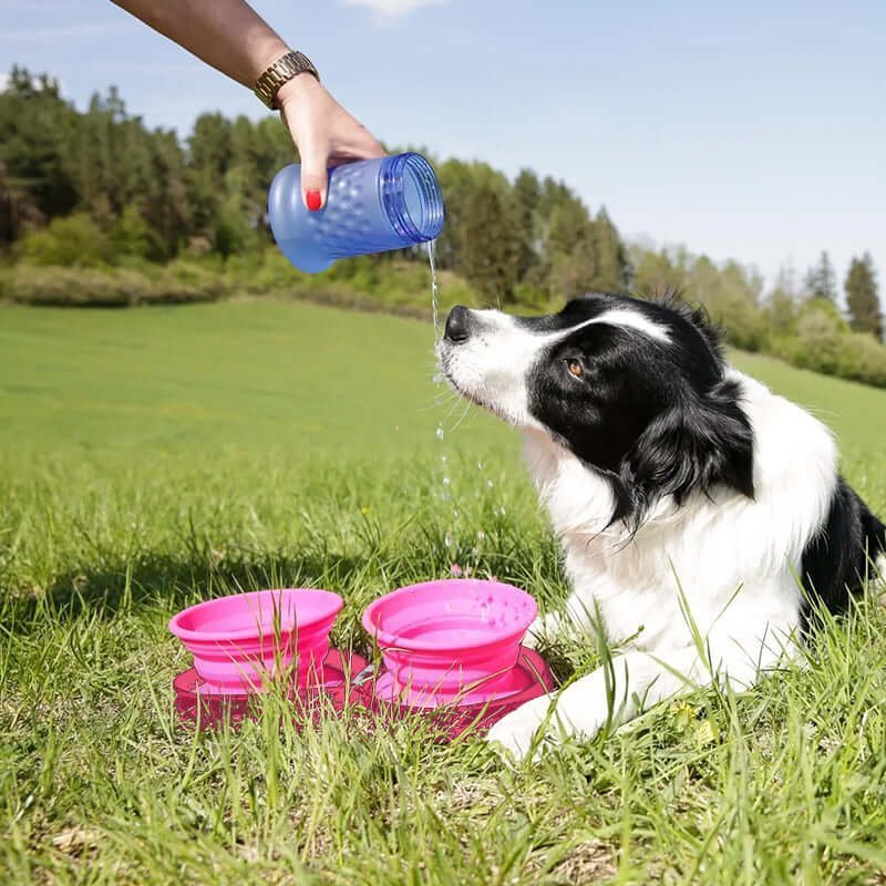 Travel Dog Diner Set-Buy 2 FREE SHIPPING