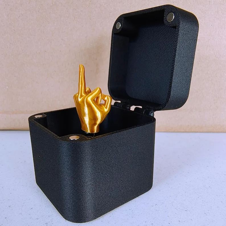 🔥Last Day Promotion - 60% OFF🎁💍Middle Finger in a Box🤣