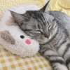 (Last Day Promotion - 48% OFF) Cat Lovely Cozy Pillow, BUY 3 GET 3 FREE & FREE SHIPPING