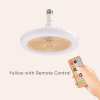 ☀️Summer Picks -🍃Remote Control Aromatherapy Ceiling Fan with Light