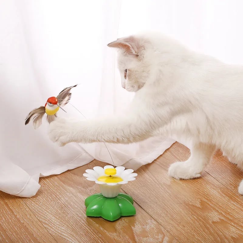 🔥Letzter Tag Verkauf 49% Rabatt🔥Elektrisches Vogelspielzeug für Katzen♧
