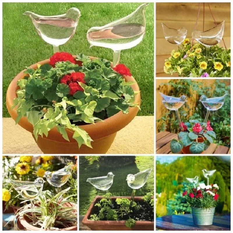 ⚡⚡Last Day Promotion 48% OFF - Self-Watering Plant Glass Bulbs🔥BUY 3 GET 1 FREE