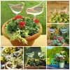 ⚡⚡Last Day Promotion 48% OFF - Self-Watering Plant Glass Bulbs🔥BUY 3 GET 1 FREE