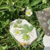🎄Christmas Sales 49% OFF-🌼Micro Flower Press, Miniature Flower Press Kit