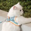 🎉🎉Early New Year Sale-Cat Vest Harness and Leash Set