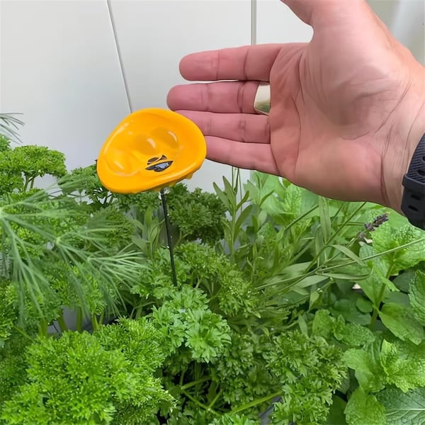 🎁TikTok Last Day Sale - 70% OFF🐝Bee Watering Station,🦋Butterfly Puddler,Hummingbird Drinking Cups