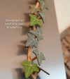 English Ivy Fridge Magnet with Articulating Vine