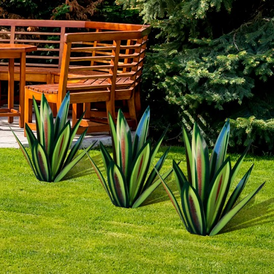 (❤️Mother's Day Flash Sale - 50% OFF)Red Tequila Agave-Perfect for garden decoration ，Buy 2 Get Extra 10% OFF