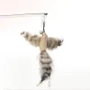 (🔥Last Day Promotion - 50% OFF) Interactive Bird Simulation Cat Toy Set (6 PCS), BUY 2 FREE SHIPPING