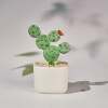 🌵Fused Glass Cactus Plants: 🔥Handmade Stained Glass Plant Decorations