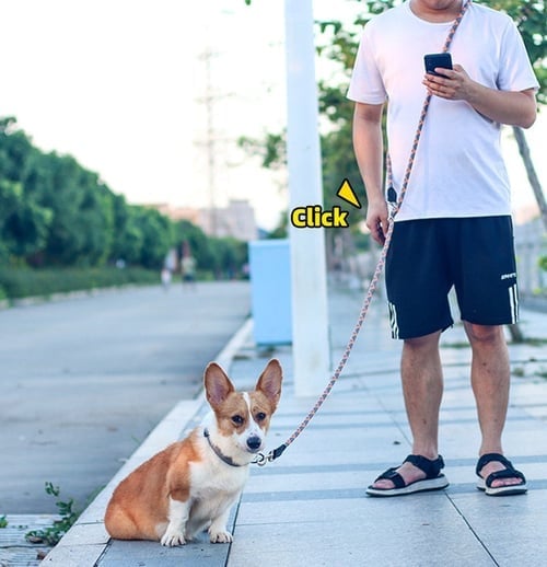 Last Day Promotion 48% OFF - Hands Free Dog Leashes