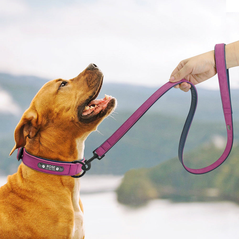 Personalized, Custom Engraved Leather Dog Collar & Leash Set