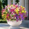 💥Upgraded high-grade material 🌱UV Resistant Lifelike Artificial Flowers