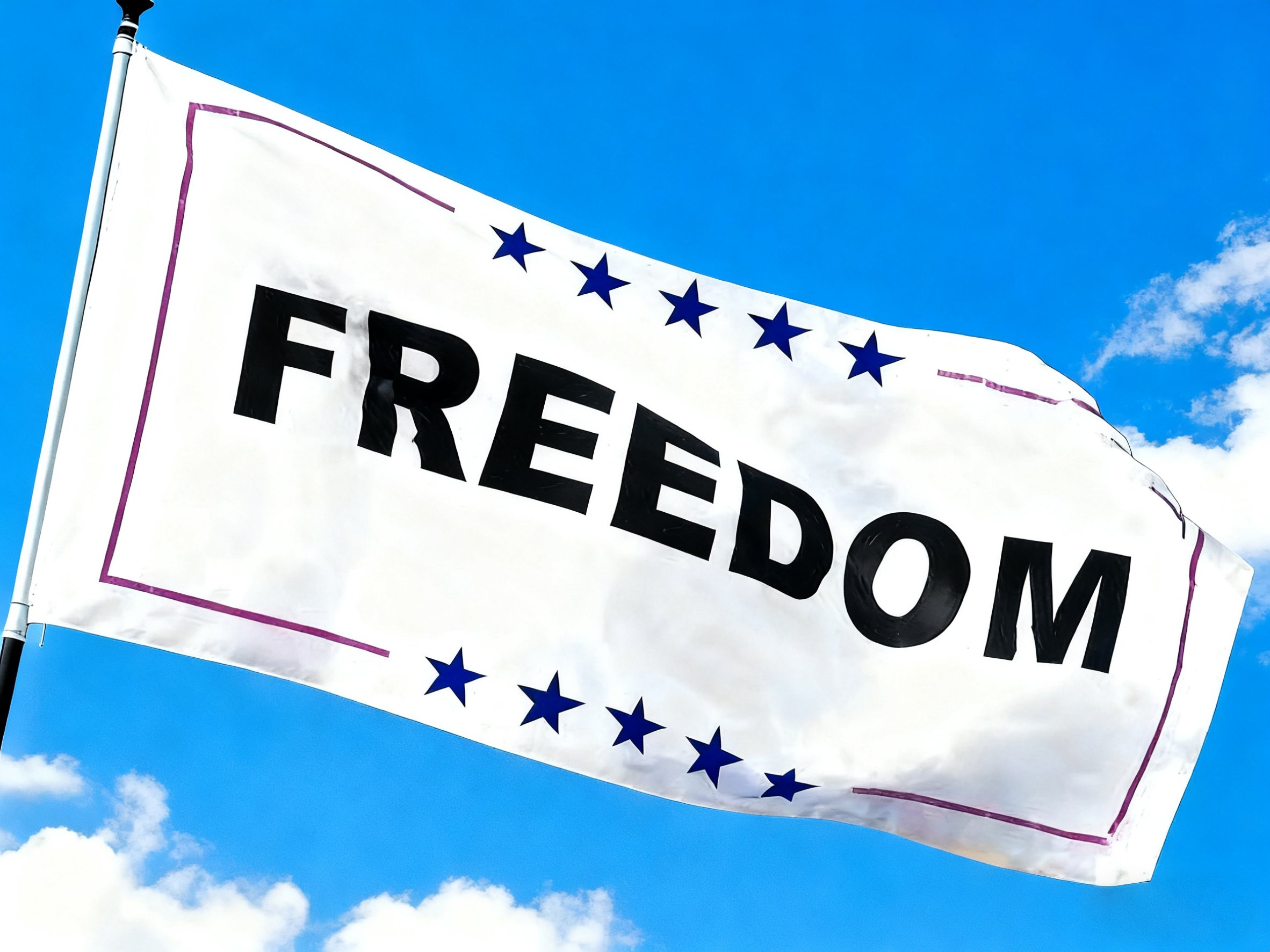 🙏60% OFF For Charlie's Fans -🎗️🕊️Charlie Kirk Freedom House Flag Justice