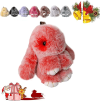 Letzter Tag nur 11.99€💥Handgemachte weiche Anhänger🐰