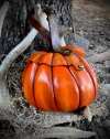 🎁TikTok Last Day Sale - 70% OFF🎃 Pumpkin Leather Foraging Pouch