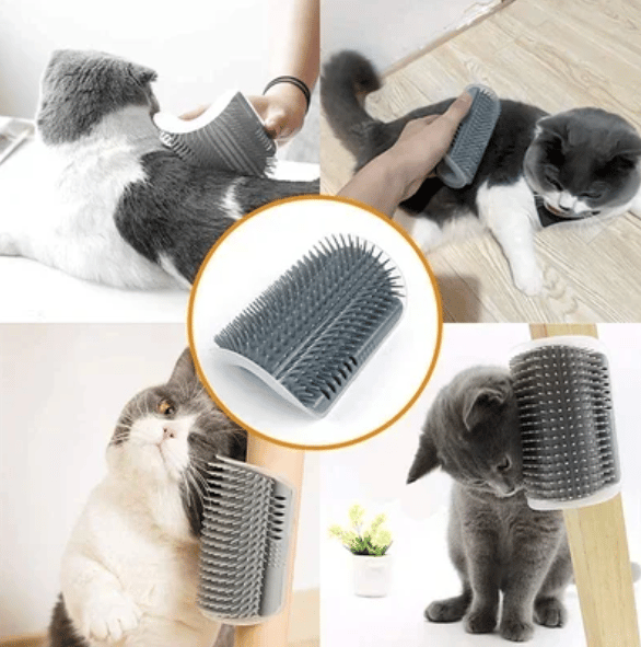 🐱Selbstpflegende Massagespielzeugbürste für Katzen♧