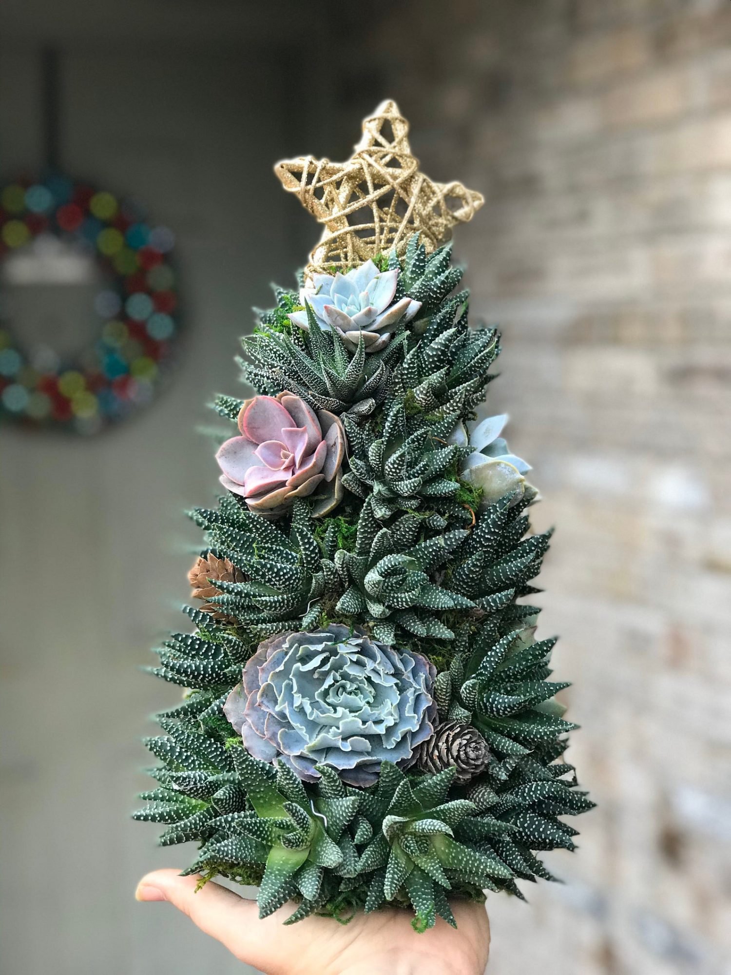 (🌲Early Christmas Sale- 50% OFF) 🎄Succulent Art Tree - Buy 2 Free Shipping