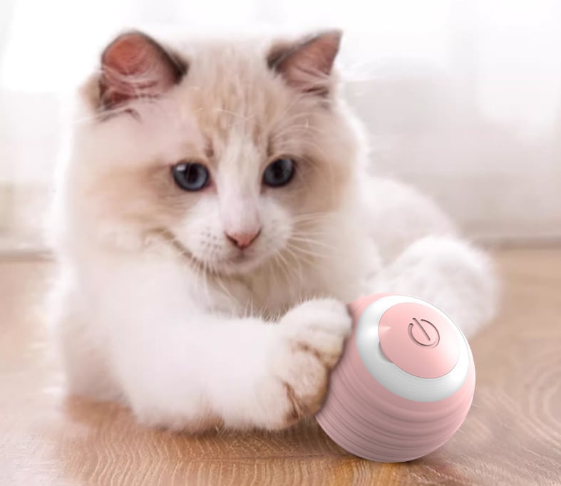 (🌲Early Christmas Sale- 50% OFF) 😻Interactive Toy for Cats-Self Rolling Ball