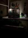Backstairs Lightbox – Miniature Life Scene with Urban Decay & Real Glow