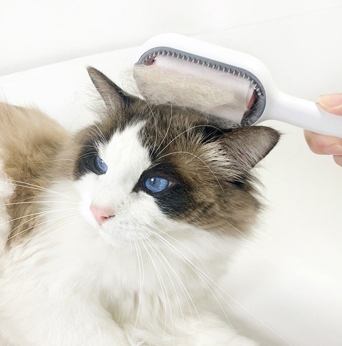 (🎅Hot Sale - 49% OFF)Pet Grooming Comb (Buy 2 get Extra 10% OFF)