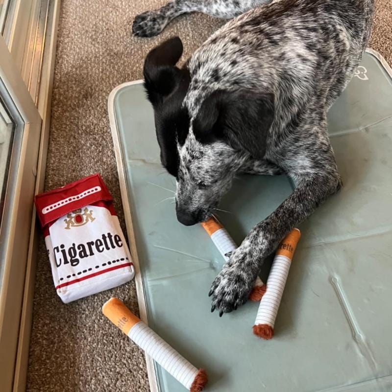 (🔥Last Day Promotions - 50% OFF) Giggling Cigarette Pack Dog Toy