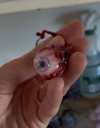 💥LAST DAY SALE 50% OFF💥Severed Bloody Eye Keychain