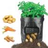 (SUMMER LIMITED TIME PROMOTION - 50% OFF) 10 Gallons Large Capacity Vegetables Grow Planter PE Container Bag