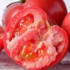 Last Day Sale 50% Off - 🔥Pink Tomato Seeds⚡Free shipping for three items