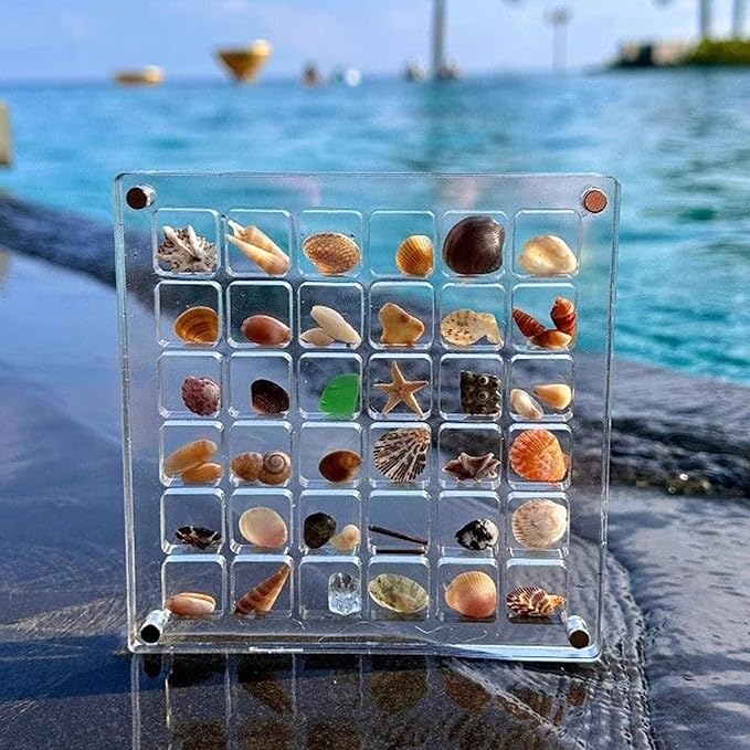 🔥Summer Hot Sale-50%OFF🐚Magnetic Seashell Display Case