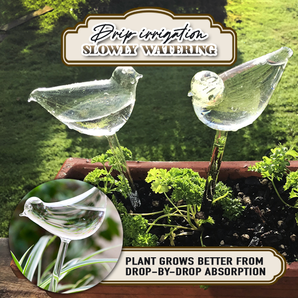(🎉Last Day Promotion)Self-watering Plant Glass Bulb(🔥BUY 3 GET FREE SHIPPING)