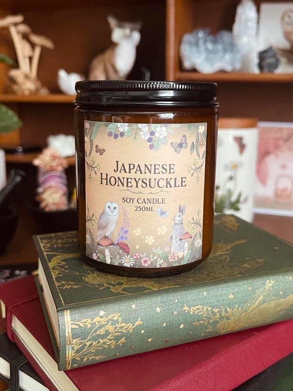 ⏰Limited-Time Offer🧙📦️Mystery Witch Box🎁(💥$100 Value!)