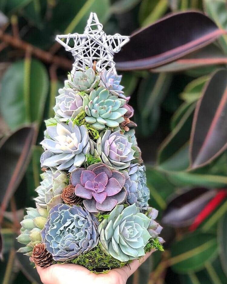 (🌲Early Christmas Sale- 50% OFF) 🎄Succulent Art Tree - Buy 2 Free Shipping