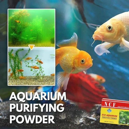 (🔥Hot Sale- 49% OFF)  100% Safe Eco-Aquarium Purifying Powder (5pcs)