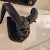 Hood Ram Skull Badge Ornament Emblem🔥Buy 2 Save 10% Off & Free Shipping