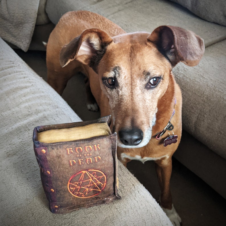 🔥LAST DAY 50% OFF - 🐶Epic Items Book of the Dead Squeaker Toy