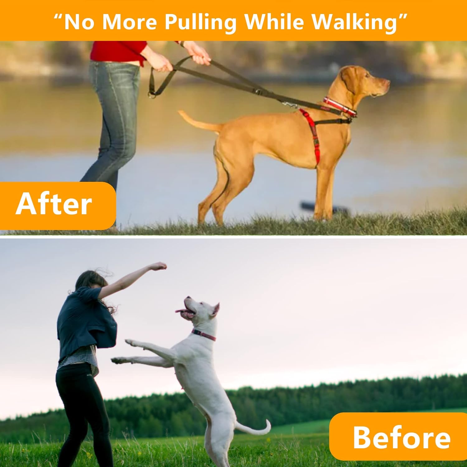 No Pull Collar for Dogs, Dog Collar with Buckle & Dog Walking Tool for Small, Medium, or Large Breed