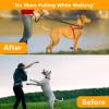 No Pull Collar for Dogs, Dog Collar with Buckle & Dog Walking Tool for Small, Medium, or Large Breed